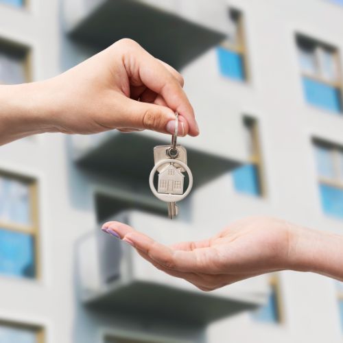 Coordinación y presupuesto para vaciado por síndrome de Diógenes en Madrid
